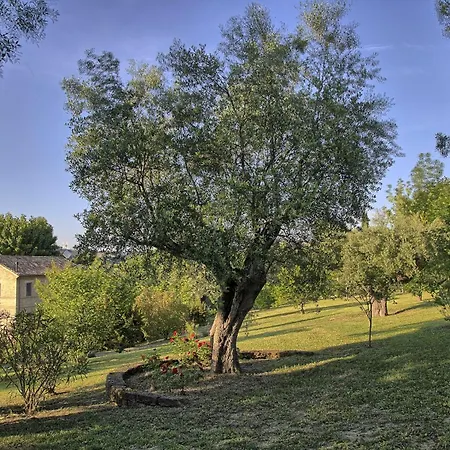 Holiday home Haus Der Musik 270m Veranda, Garten Und Pool