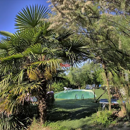 Haus Der Musik 270m Veranda, Garten Und Pool Holiday home